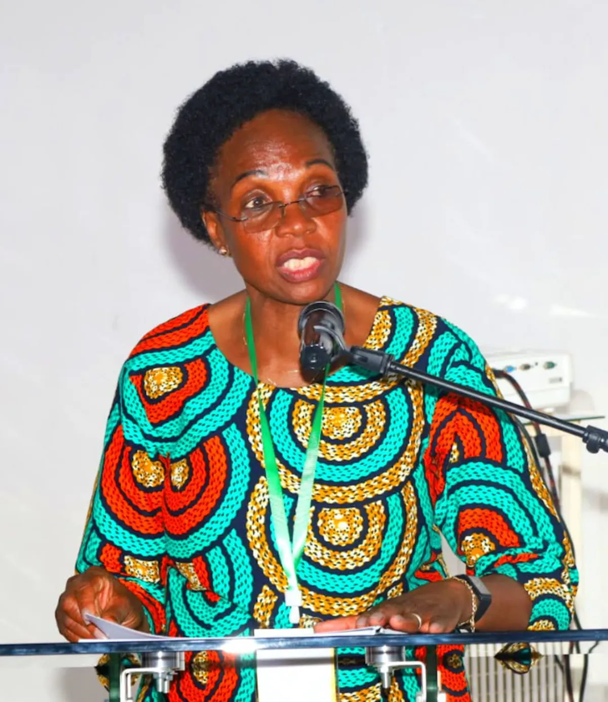 Governadora Elina Judite Massengele durante discurso institucional no Governo Provincial de Niassa.