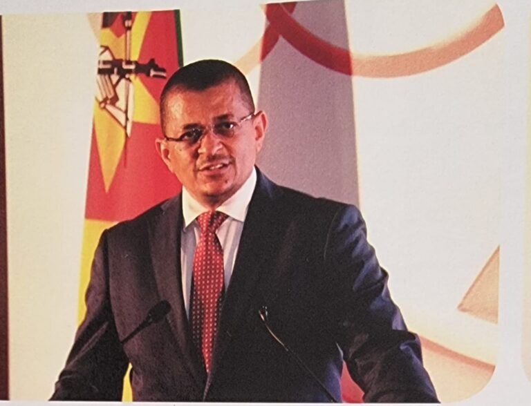 FAZER DIFERENTE: Produzir, comercializar, transformar e valorizar moçambique
