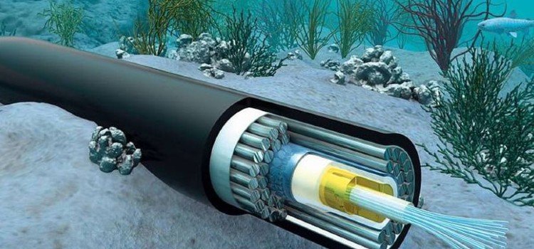 Angola Cables contrata Ciena para cabos submarinos que ligam Brasil aos EUA e Angola