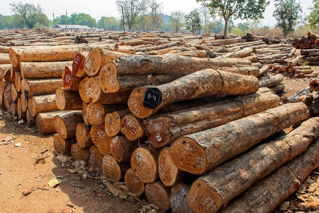 Cabo Delgado: AQUA Apreende Mais de 9 Mil Pranchas de Madeira Ilegal