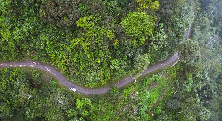 Na ONU, São Tomé e Príncipe exige justiça climática em vez de caridade