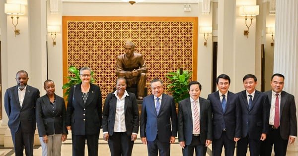 O Partido Comunista do Vietnã e a Frente de Libertação de Moçambique compartilham experiências na construção de partidos.
