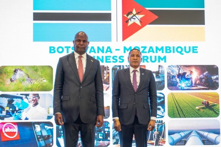 Presidente da República propõe plataformas para impulsionar cooperação económica com Botswana