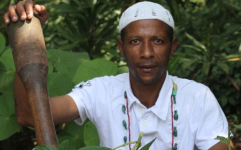 Sesc promove oficina sobre plantas medicinais