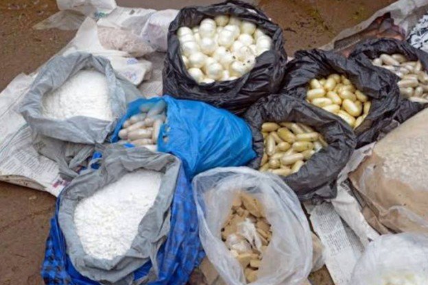 Tráfico de drogas em Moçambique: Quando o país bate recordes “que ninguém quer celebrar”