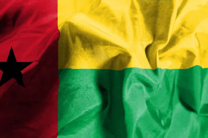 Ativistas na diáspora pedem "mediação séria e justa" do Senegal e CEDEAO