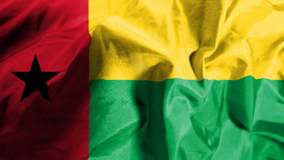 Ativistas na diáspora pedem "mediação séria e justa" do Senegal e CEDEAO