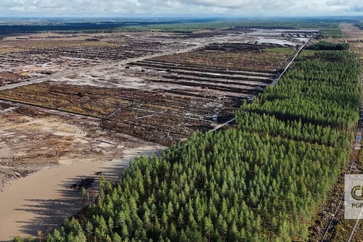 Finlândia fez um acordo de milhões com a Google para a construção de centros de dados. Agora, está a ver as suas florestas a desaparecerem