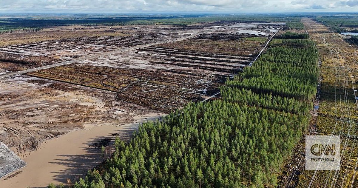 Finlândia fez um acordo de milhões com a Google para a construção de centros de dados. Agora, está a ver as suas florestas a desaparecerem