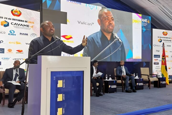 MozParks apela a uma maior industrialização local para valorizar a riqueza mineral de Moçambique